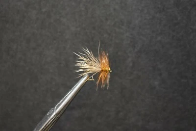 2 Flies, Size 12, TENT WING CADDIS Dry Fly Fishing Flies
