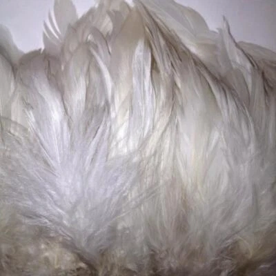 New White Schlappen Strung per 10cm - Wholesale Feathers & Craft Supplies