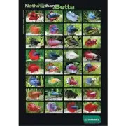 Betta Poster For Fish Shrimp Snail Tank Aquarium
