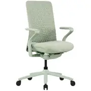 Pago Zeke Ergonomic Chair Green