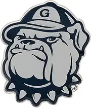 Desert Cactus Georgetown University Lapel Pins Hoyas GU Logo Enamel Made of Metal (Pin B), One Size, Bronze, no gemstone