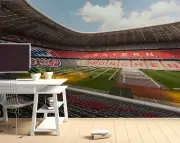 3D Stadium Sports Pattern Wallpaper Wall Murals Removable Wallpaper 1