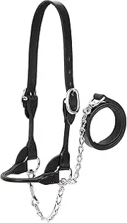 Weaver Leather Weaver Leather Livestock Dairy/Beef Rounded Show Halter, Black, Extra Large 90-0530, Black, X-Large