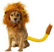 Rubie's Disney Lion King Pet Costume Accessory Set, Simba, Small/Medium