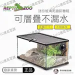 REPTIZOO瑞皮玻璃爬缸蜥蜴守宮蛇甲蟲陸龜爬寵爬蟲角蛙飼養箱盒【安然優選】