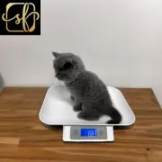 Digital Baby Scale for Pets Dog , Accuracy 1G/0.035Oz, Measuring Range 0.1Oz-33L