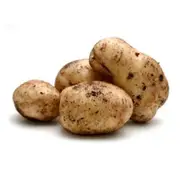 Organic Sebago Potatoes Value Buy – Fresh, healthy organic delivery | Doorstep Organics