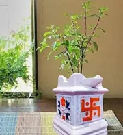 Ceramic Tulsi Planter Pot Tulsi Pot 6 inch Pot For Herbs Succulents Basil Plant