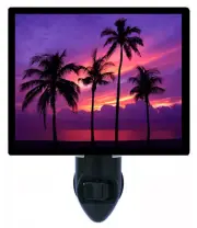 Tropical Decorative Photo Night Light, Almost Paradise, Sunset, Palm Trees
