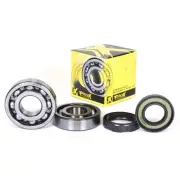 Pro X 23.CBS23080 Crankshaft Bearing and Seal Kit