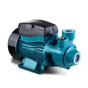 [Bargains Online] 370W Peripheral Water Clean Garden Farm Rain 0.5HP