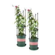 NNEAGS 2X 73cm 4-Bar Plant Frame Stand Trellis Vegetable Flower Herbs Outdoor Vi