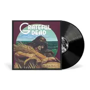 Wake Of The Flood (50th Anniversary Vinyl)