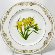 CHELSEA GOLD CROCUS by Aynsley Bread & Butter Plate NEW NEVER USED made England