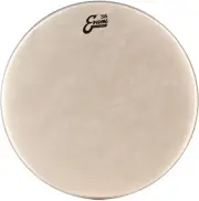 Evans Calftone Drumhead - 18 inch (5-pack) Bundle