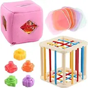 Sensory Shape Sorter,Shape Sorter Boxes for Toddler - Educational Preschool Toy for Intelligent Learning Fine Motor Skills Development