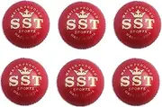 Leather Cricket Ball, 4 Piece Red Cricket Ball, Standard Size, Pack of 6 (Genuine 50 Overs, Test and One Day Matches)