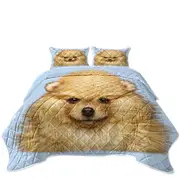 Cute Animal Art Pomeranian Puppy Dog Coverlet