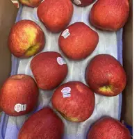在飛比找蝦皮購物優惠-【美國.紐西蘭 愛妃蘋果】被譽為全世界最好吃的蘋果之ㄧ 紐西