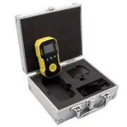 Digital PH3 Gas Detector Portable Phosphine Gas Detector PH3 Gas Leak Monitor