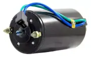 POWER TILT TRIM MOTOR FOR JOHNSON EVINRUDE OMC ETK4102 380361 38213 382220 6209