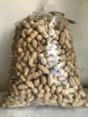 Raw IN -SHELL Peanuts 5 lb - Wild Birds, Blue Jays, Cardinals, Woodpeckers