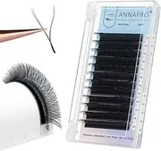 ANNAFRIS 4D YY Shape Eyelash Extension Makeup Mesh Net Cross 0.07 C Curl 8-12mm Mix 2D Y Shape Premade Fans Lash Extension Hand Woven Natural Soft Light Mink False Lashes (0.07 C, 8-12mm Mix)