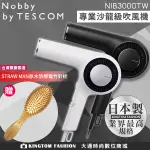 全日本製 贈 造型梳 NOBBY BY NIB3000TW TESCOM 專業沙龍修護離子吹風機 吹風機