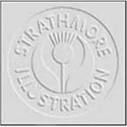 Strathmore 240-11 500 Illustration Heavyweight Vellum Board 20 X 30