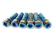SALT Solid Stem Bolts Oil Slick