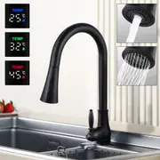 ACA Pull Out Kitchen Mixer Tap Temperature Display Sprayer Head Retro Basin Faucet Black