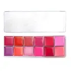 12 Colors Lipstick Palette Shimmer and Matte Embellish Long Lasting Lip Gloss