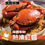 食在好神嚴選 保證爆卵母紅蟳