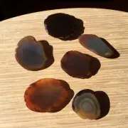 6 Agate Crystal Geode Ends Polished Rocks Display Stones Cut Face Rounded Back