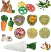 Rabbit Bunny Guinea Pig Chew Toys 12PCS, Chew Toys and Treats for Rabbit Guinea