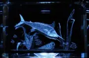 Swordfish Underwater Scene 3D Laser Etched Crystal Glass Tower 2-1/4"x1-1/2"