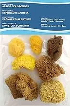 Artists Painting Natural Sea Sponges value pack - 7 pieces for Art & Craft, Paint, Hobbies, Effects, Ceramics, Pottery, Decorating, Sponging, Fine Art – Fine to Broad Texture,Sizes 1.5'-3.0'