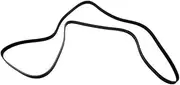 Replacement# 12636139 Belt 1pc/set