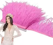 Ostrich Feather Fringe Satin Feather Trim Artificial Ostrich Feather Trim Soft Fringe for Home Decor Artwork Feather Trim Craft