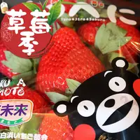 在飛比找披薩巿網路超市優惠-(免運)日本空運【熊本ゆうべに大草莓】2入/箱禮盒