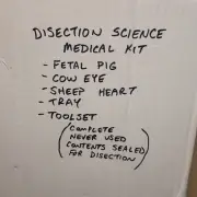 NEW Wards MedicalScience DISECTION Lab Kit-Fetal Pig/Cow Eye/SheepHeart Macabre