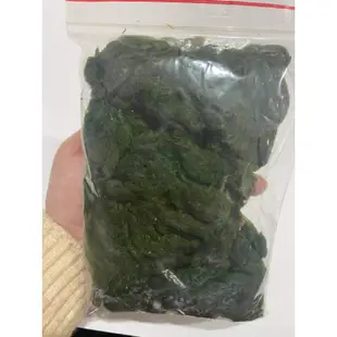 《買五送一》🐟吳郭魚最愛的青荻🐟青荻 水草 青苔 吳郭魚最愛 福壽魚最愛 釣魚 魚餌 釣蝦