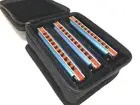 EASTTOP 10Hole Blues Diatonic Harmonica Set of 3 mouth organ set of A C G Gift