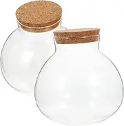 YARNOW 2pcs Glass Storage Bottle for Plants Garden Ornament Office Decor DIY Micro Landscape