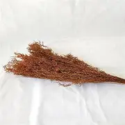Spartina alterniflora 200 gram，Artemisia annua，About 19 inches，OPP Bag or Carton Packing，Used for Home Decoration，Wedding Decoration,Office Decoration and Party.(Dark Orange)