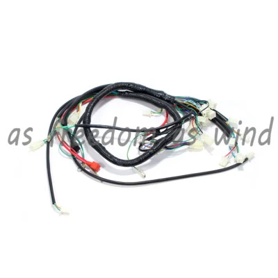 Electric Start Wiring Loom Harness 200cc 250cc 300cc ATV Pit Quad Bike Atomik