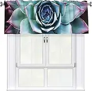 LHBWCVN Succulent Plant Valances for Windows, Rod Pocket Window Treatment Drapes Farmhouse Kitchen Curtains Short Blackout Window Curtains for Living Room Bedroom Decor 54x18 Inch