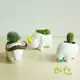 【gift365】愛動物土生植栽 三入 /植栽容器、筆筒、創意小物、交換禮物