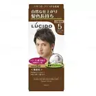 NEW LUCIDO Hair Color One Push Type Long-Lasting (#5 Natural Brown) JAPAN
