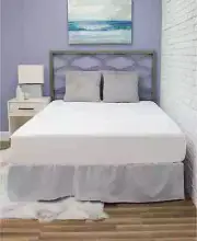 BioPEDIC Fresh and Clean Mattress Protector Ultra-Fresh Treated Fabric Queen